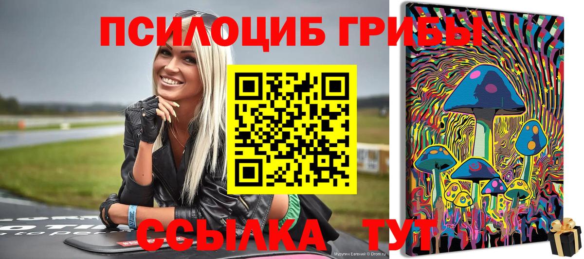 Галлюциногенные грибы Magic Shrooms  Вход с VPN  Ноябрьск 